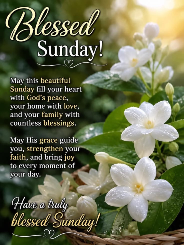 Good morning to you and Happy Sunday from here. May your soul find rest today and beyond in Jesus mi...